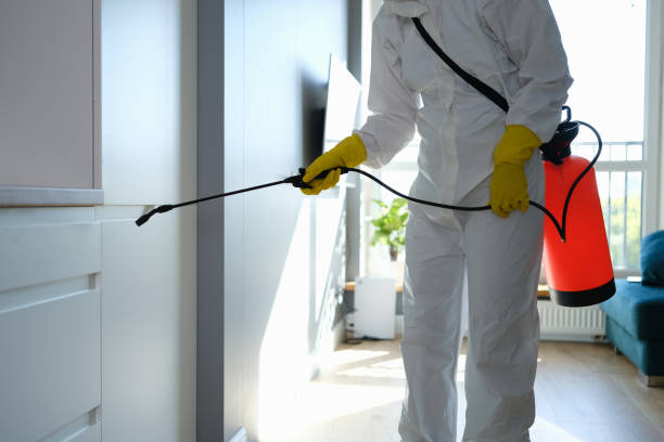 Mold Remediation for Vacation Homes in Hilton Head Island, SC